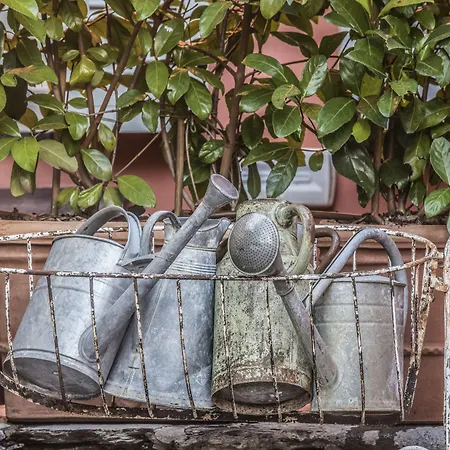 Relais Del Maro 4* Borgomaro